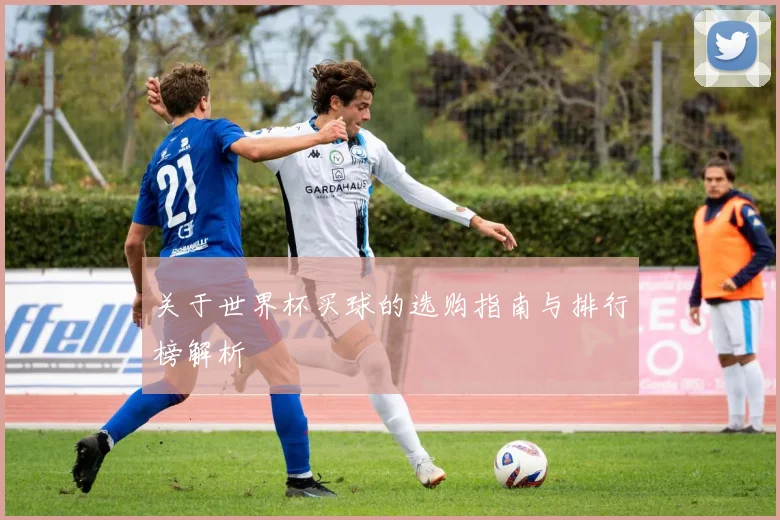关于世界杯买球的选购指南与排行榜解析