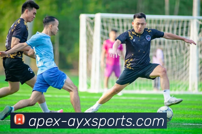 爱游戏官方网站品牌故事