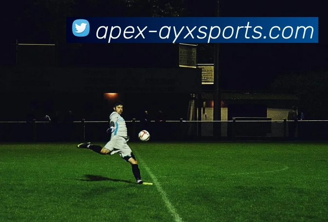 爱游戏官方网站服务体系